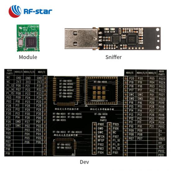 BLE4.2 Module with Nordic nRF51802 Chip RF-BM-ND02C